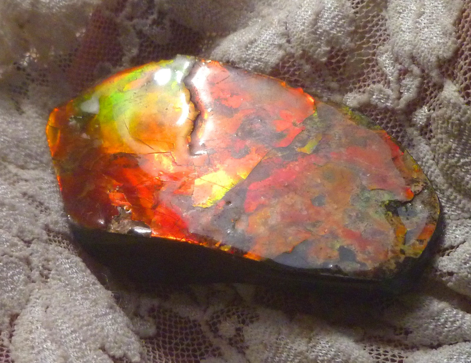 65x36mm RED AMMOLITE  Color change gemstone Canada Ammonite