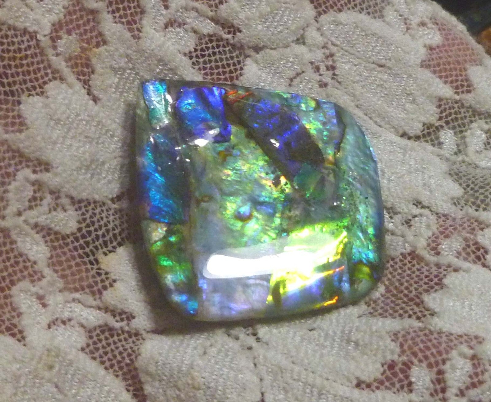 40.5ctd Multi Colors AMMOLITE GEM! Gemstone Amazing Colors! 32x31mm