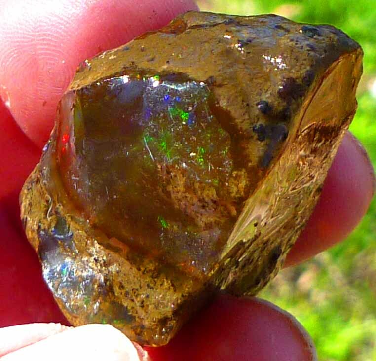 Chocolate Welo Ethiopia Precious Opal 289.4 carats Ethiopian