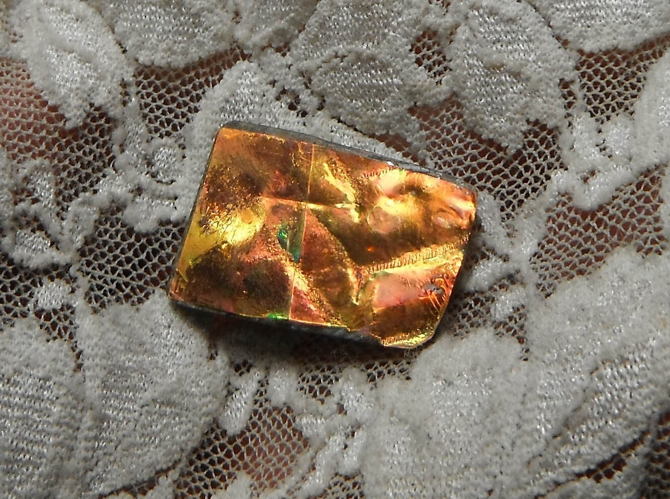17cts AMMOLITE Color Change GEM! Gemstone Amazing! 25x17mm
