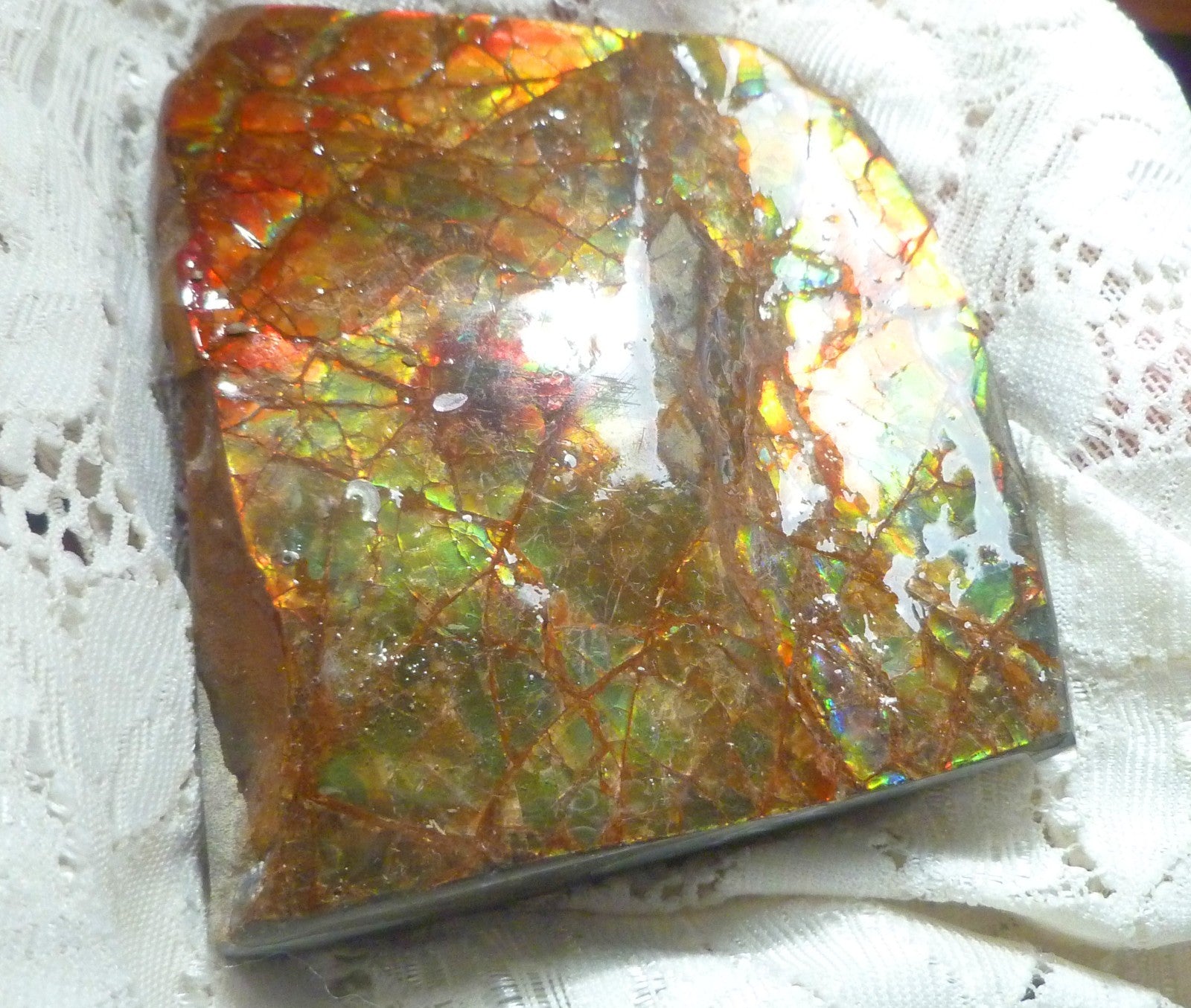 75x59x8mm AMMOLITE  Mulit Color gemstone Canada Ammonite