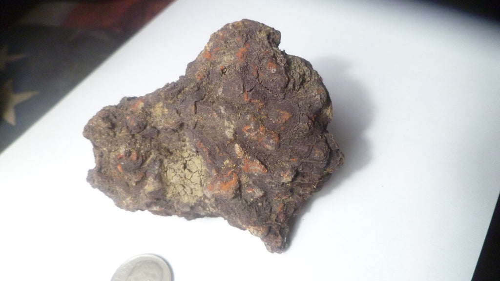 140g Fecal Fossil Dinosaur Coprolite Dung Poop Fossilized Specimen GAG GIFT!
