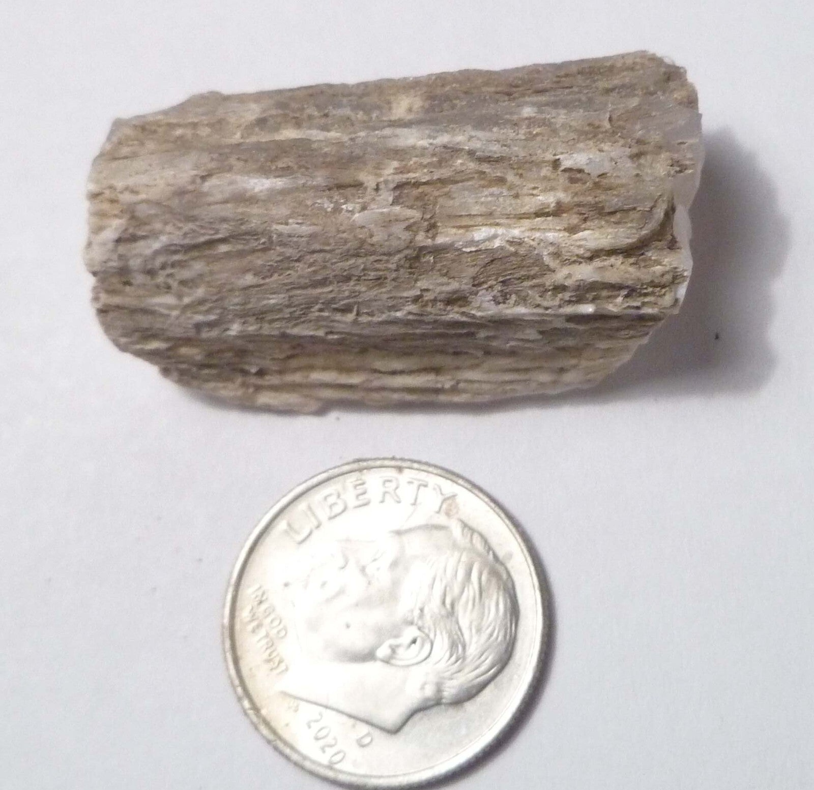 Awesome!  Virgin Valley WHITE Opal Petrified Wood Log Nevada 40 cts