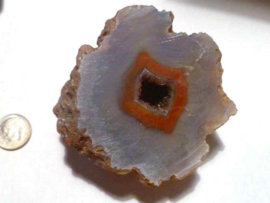 Large Half Malawi Agate Half Nodule Malawi 224 grams