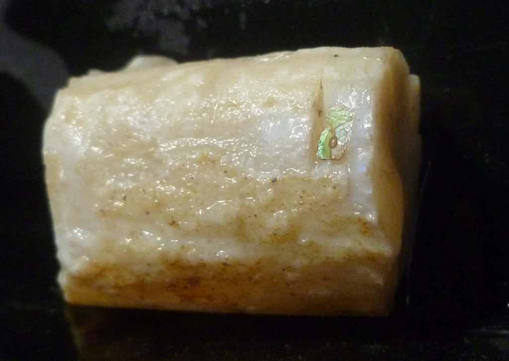 Awesome!  Virgin Valley WHITE Precious Opal Petrified Wood Log Nevada 271..2 cts
