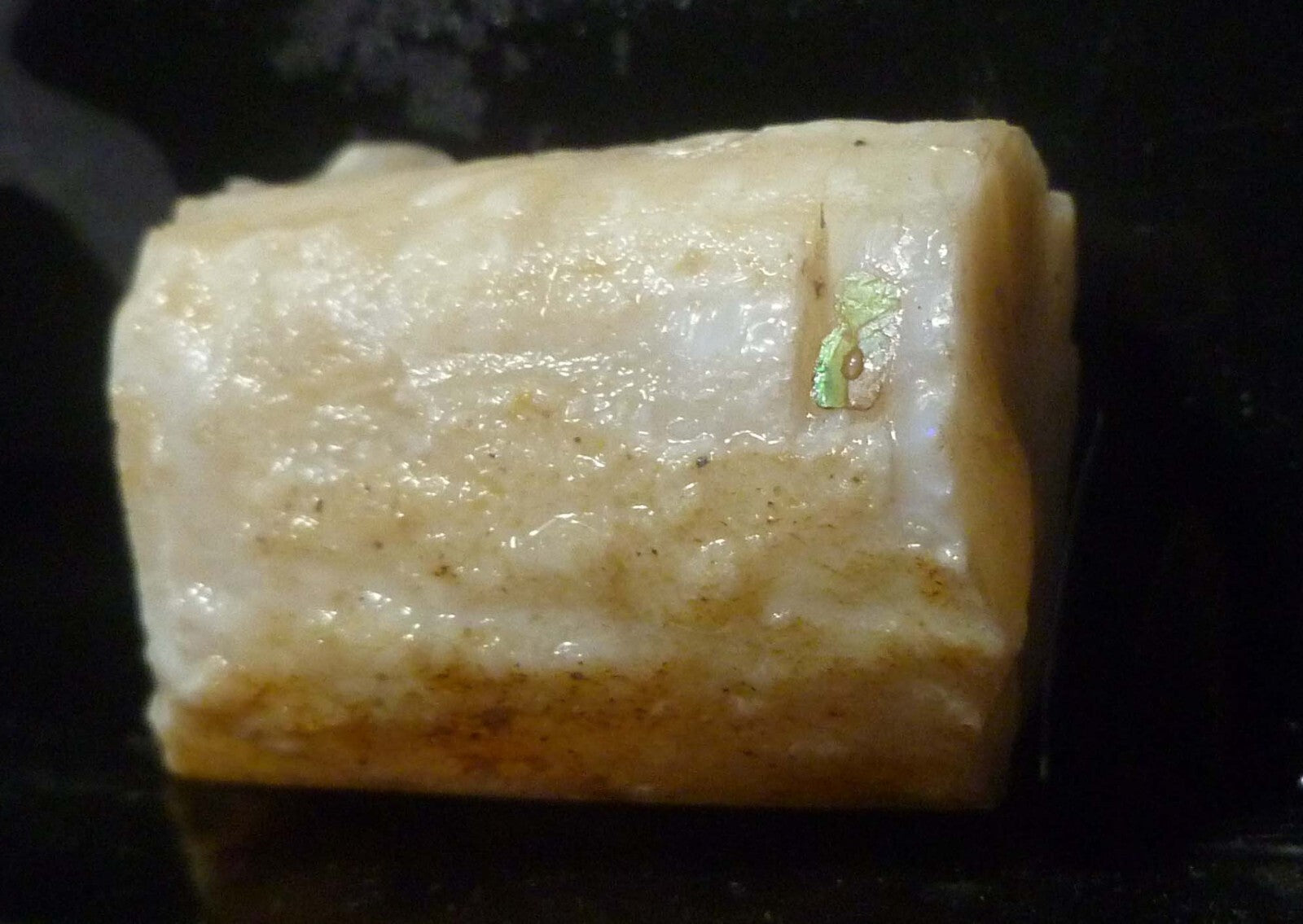 Awesome!  Virgin Valley WHITE Precious Opal Petrified Wood Log Nevada 271..2 cts