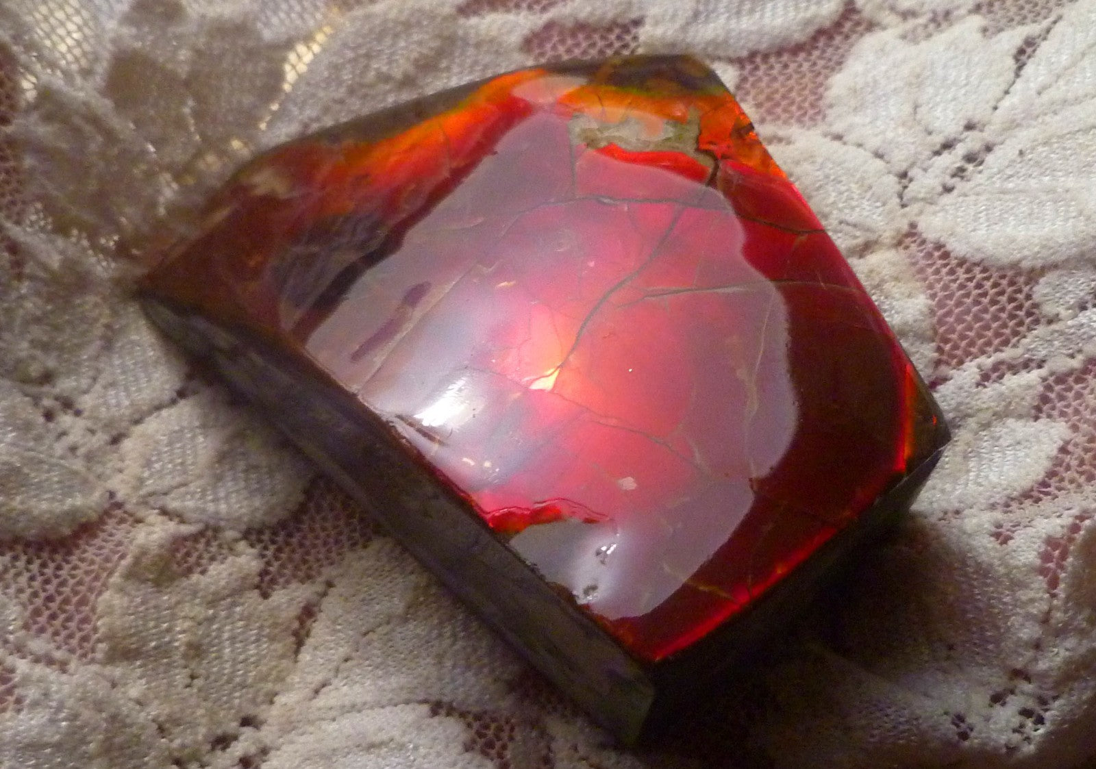 Red Ammolite 57x61x19mm AMMOLITE Ammonite Canada