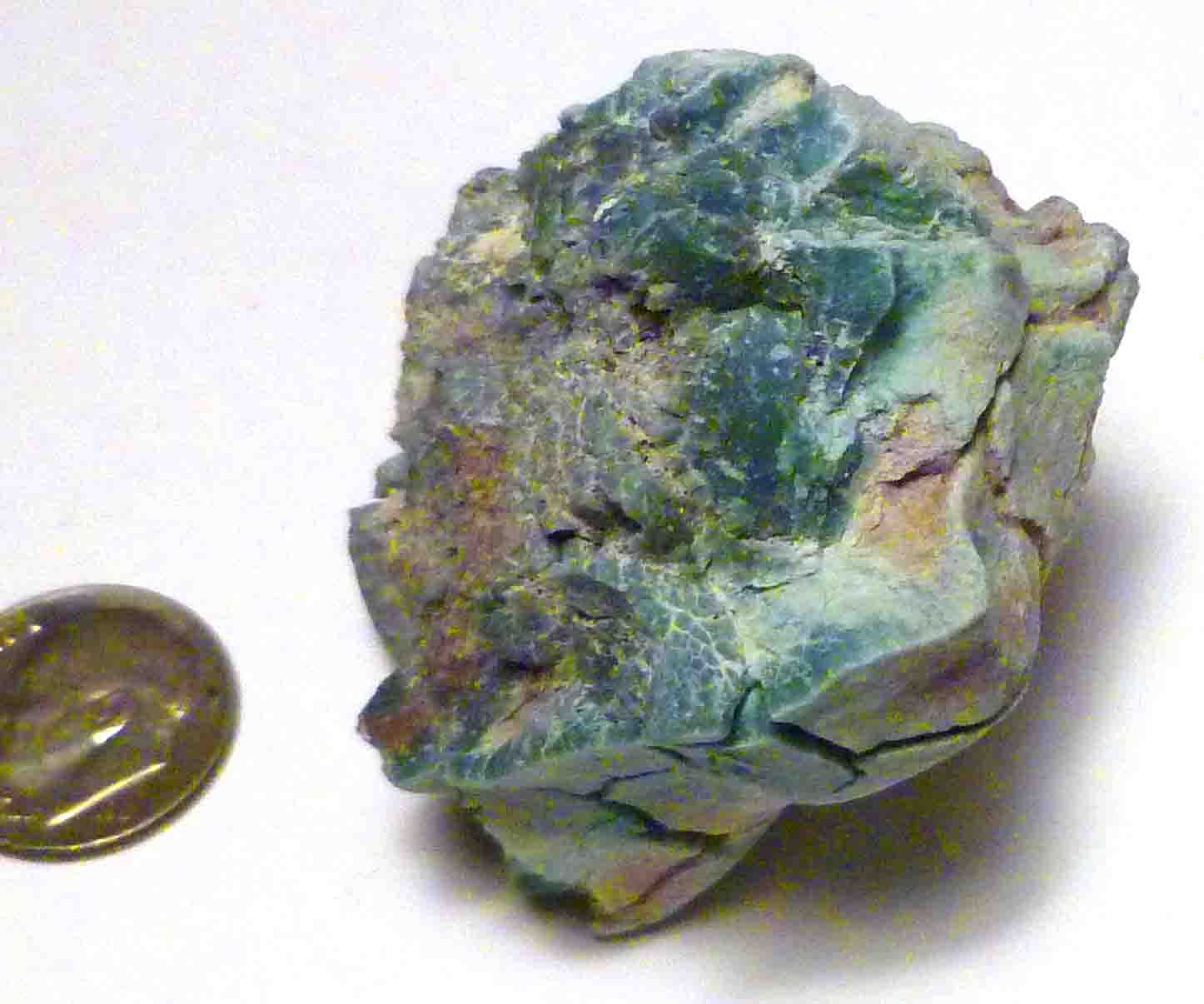 CHROMIUM! Extremely RARE Mint GREEN Petrified Wood Log ARIZONA 74.1