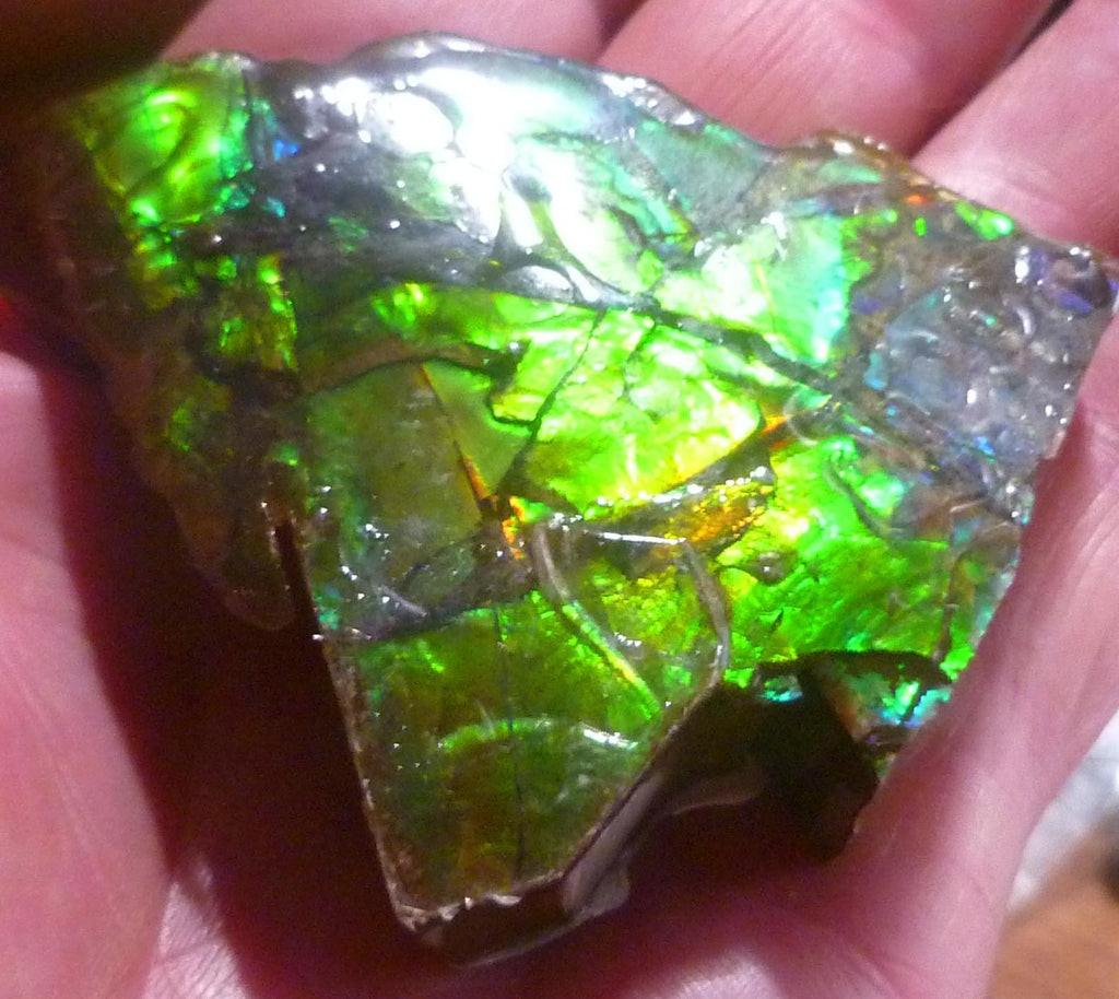 73x58mm AMMOLITE 5 Colors gemstone Canada Ammonite