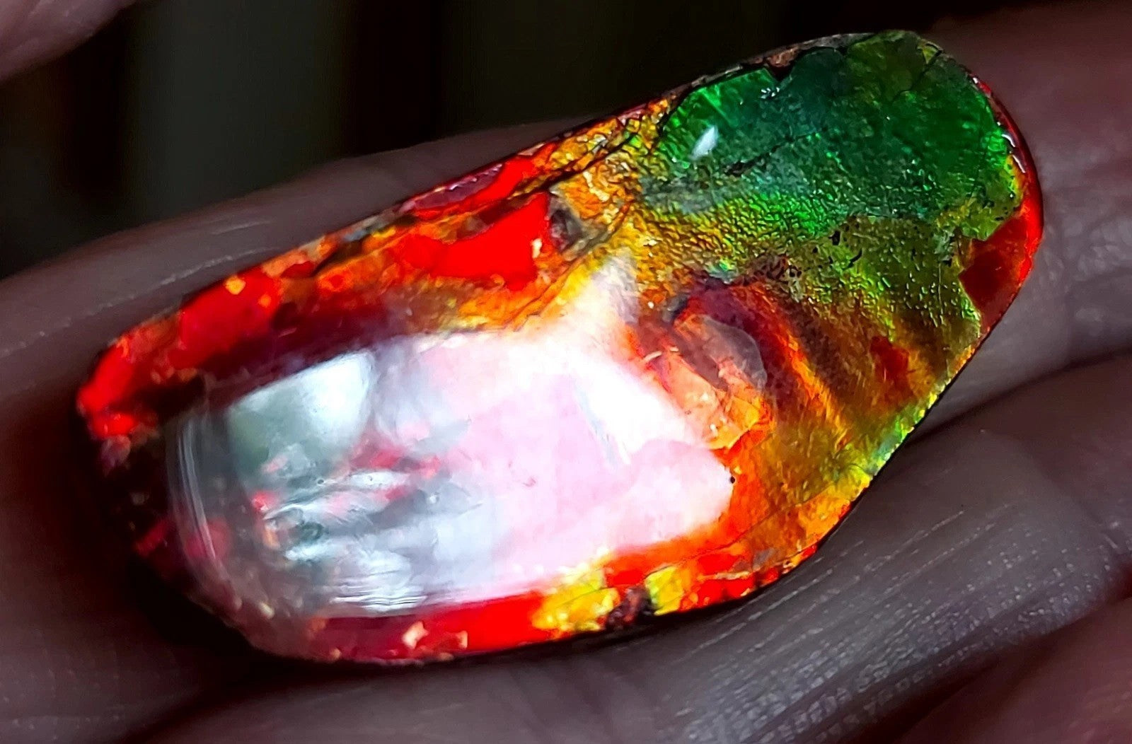 Ammolite Gem Stone 37x17x5mm Color Change Cabochon