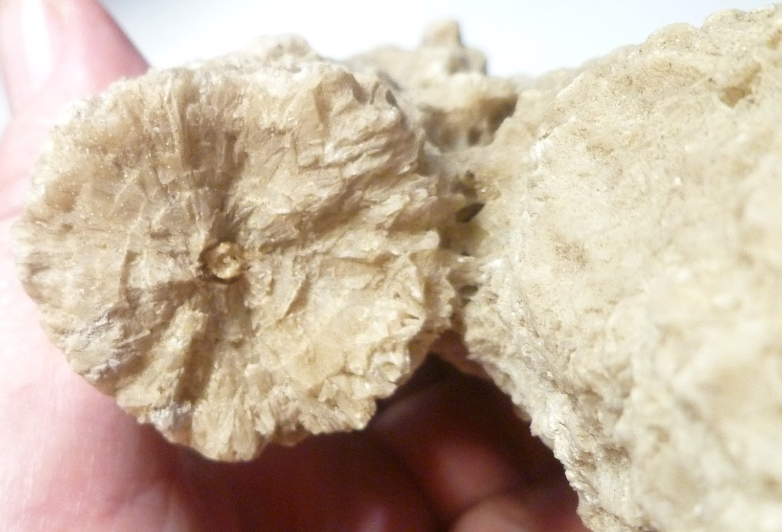 15.7oz Calcite Crystals Stalactite / Stalagmite Formation 6 1/4"x3"x2"