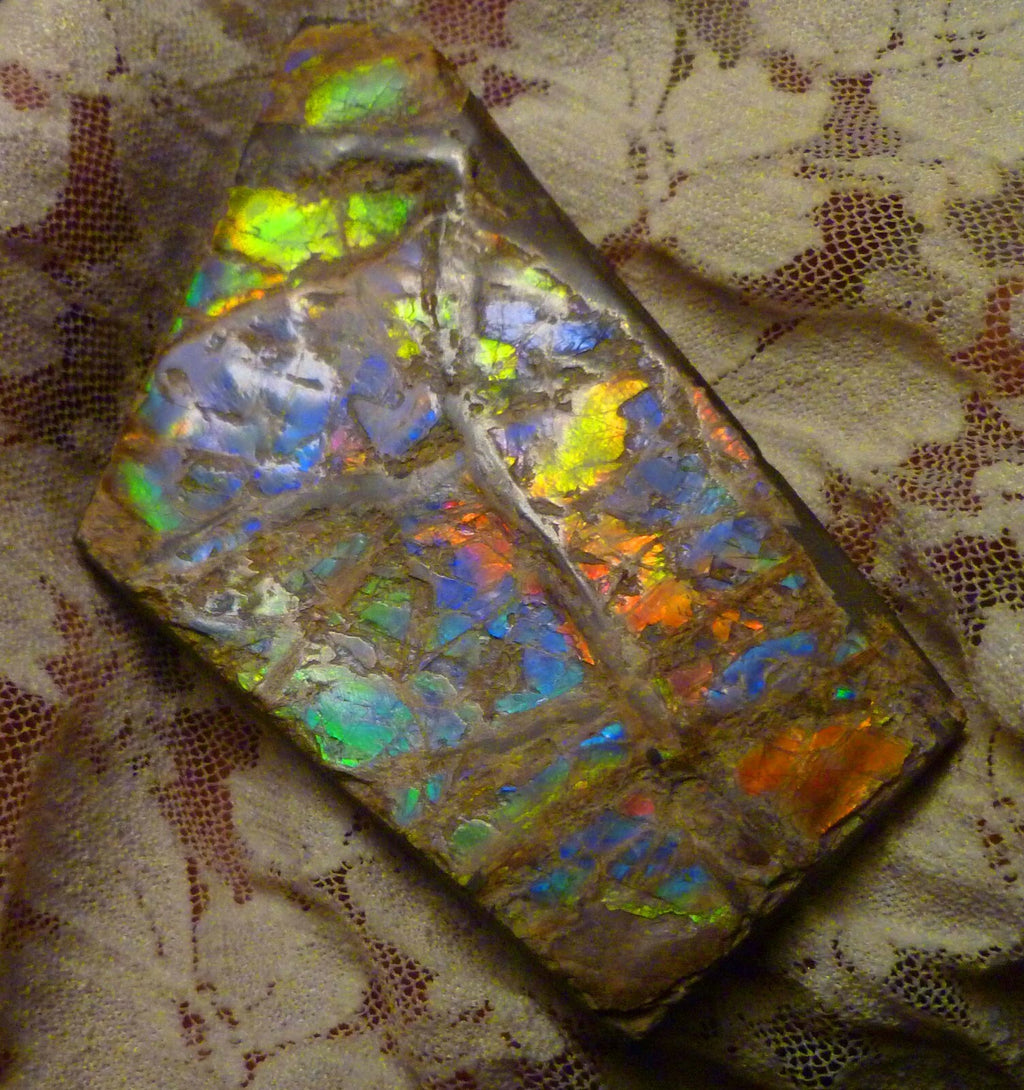 84x52mm Purple, Blue, Green, Red AMMOLITE Ammonite SIX Colors 56.4 grams