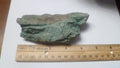 4.5" CHROMIUM! Museum Quality RARE GREEN Petrified Wood Log ARIZONA