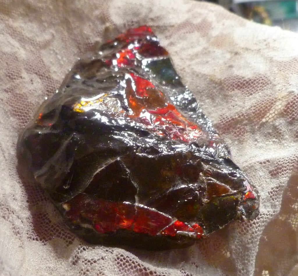 Red Ammolite 88x49x12mm AMMOLITE Ammonite Canada