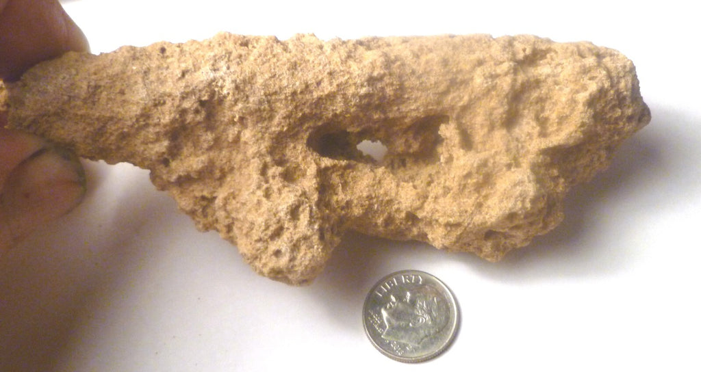 TOTALLY TUBULAR! 4.75" Natural Glass DOUBLE FULGURITE from LIGHTNING 121mm