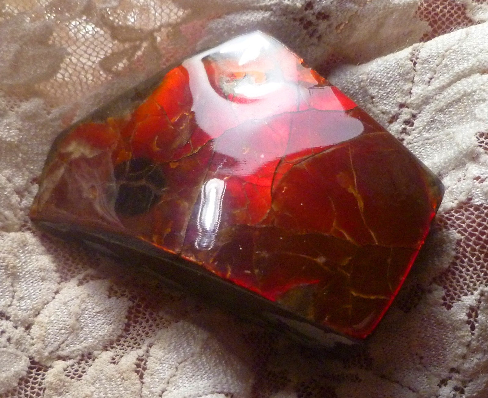 Red Ammolite 57x61x19mm AMMOLITE Ammonite Canada