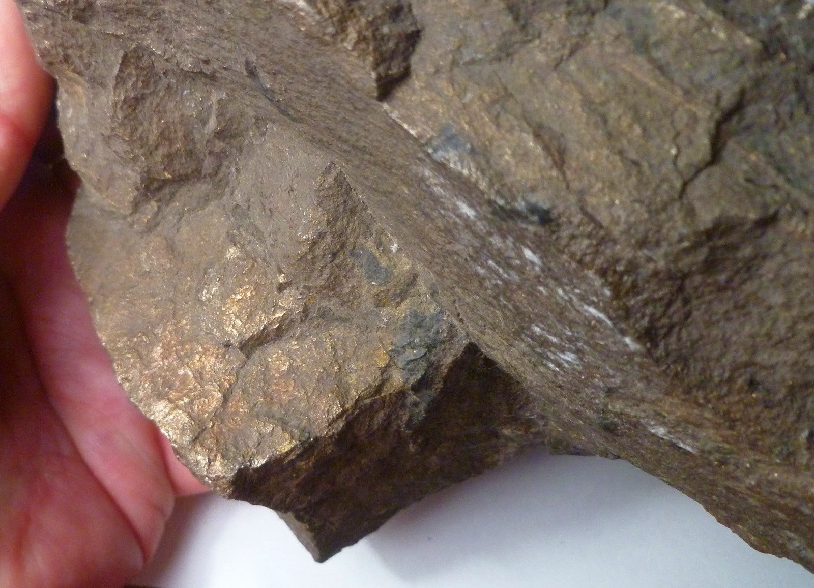 Natural Gold,Silver,Nickel, Pyrite Ore 3lbs 2oz