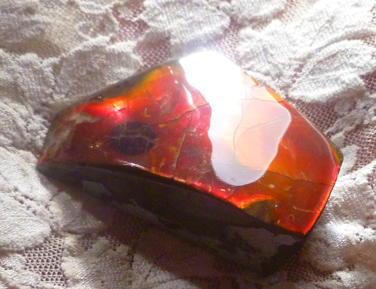 Red Ammolite 57x61x19mm AMMOLITE Ammonite Canada