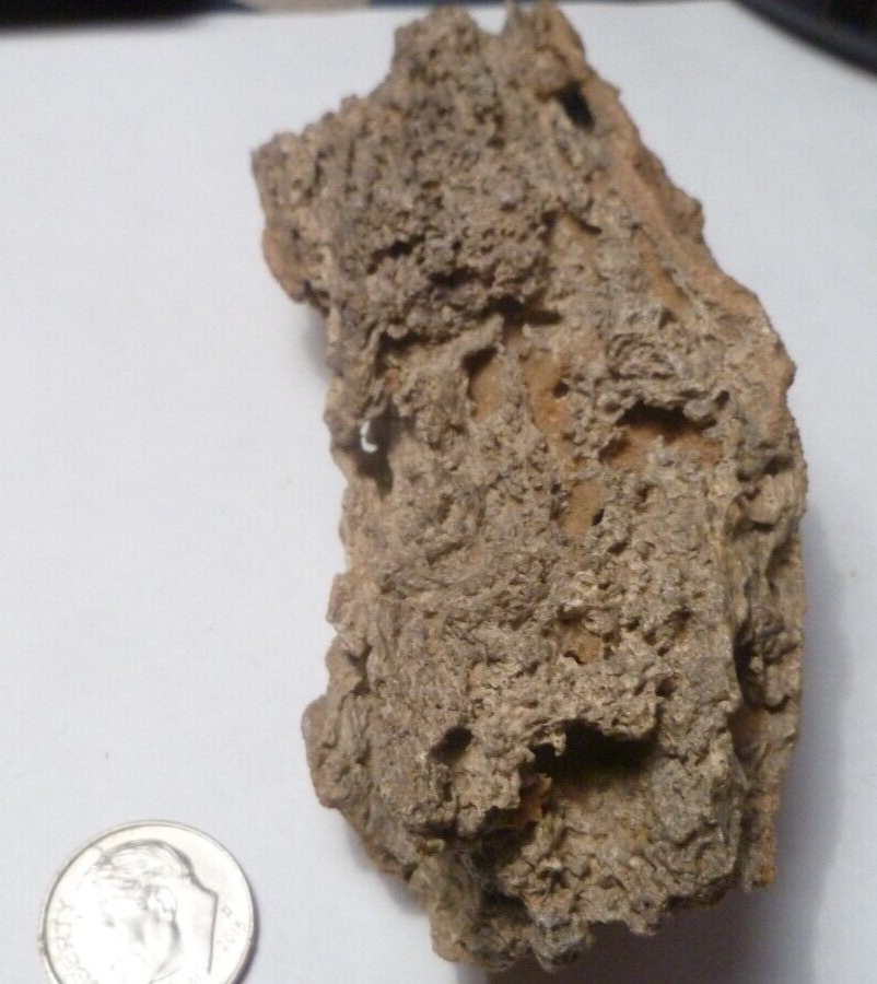 4.25" Fulgurite lightning fused sand Sahara Fossil Lightning