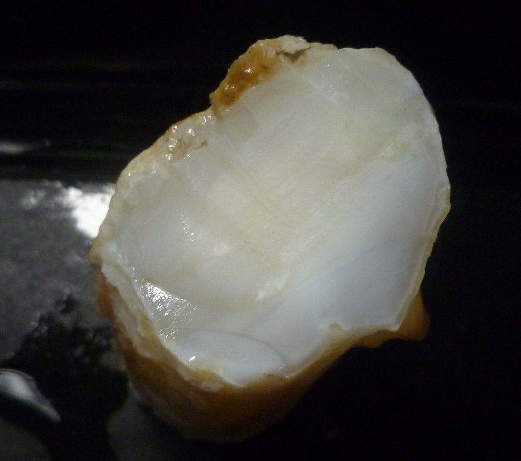 Awesome!  Virgin Valley WHITE Precious Opal Petrified Wood Log Nevada 271..2 cts