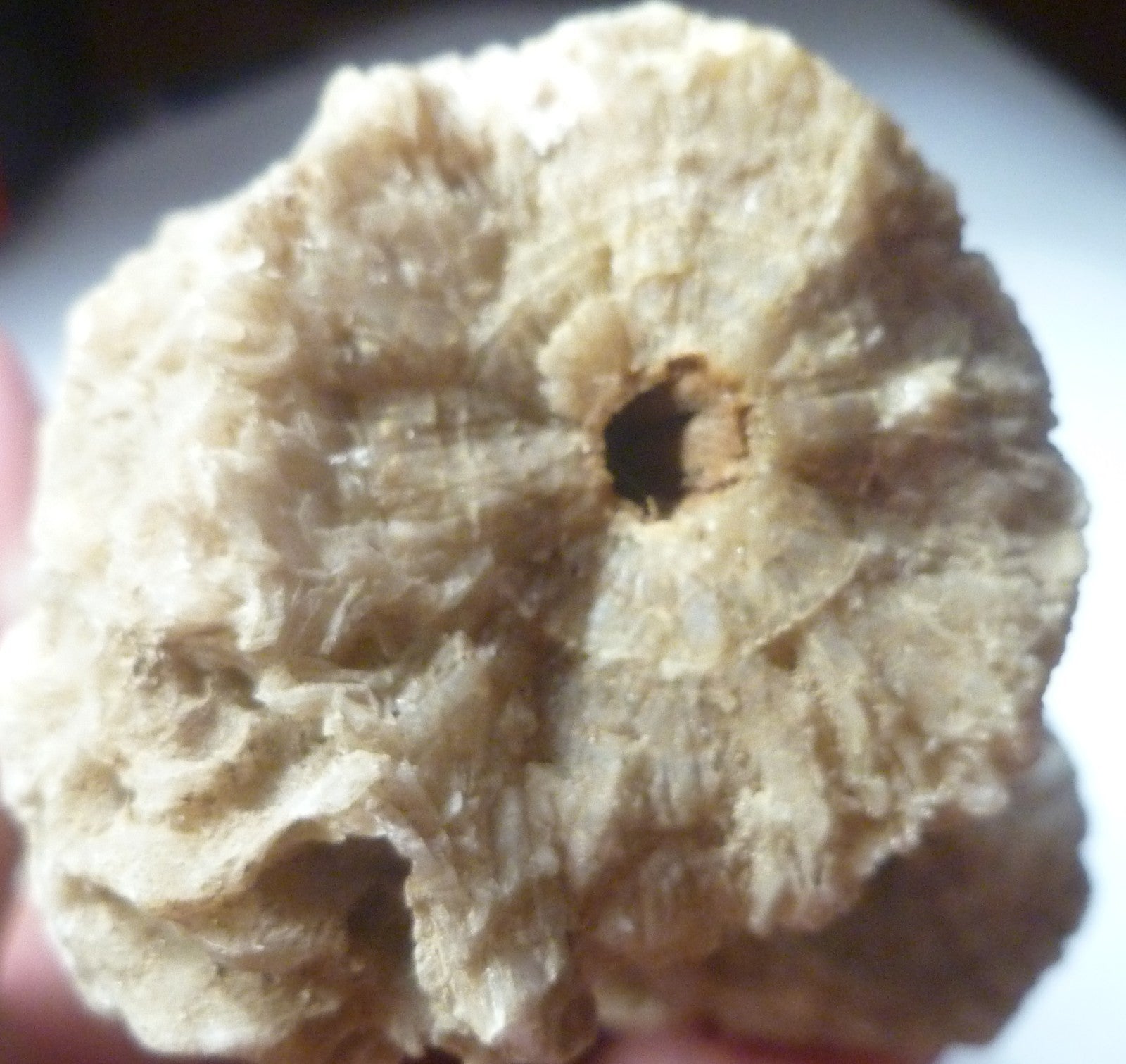 15.7oz Calcite Crystals Stalactite / Stalagmite Formation 6 1/4"x3"x2"