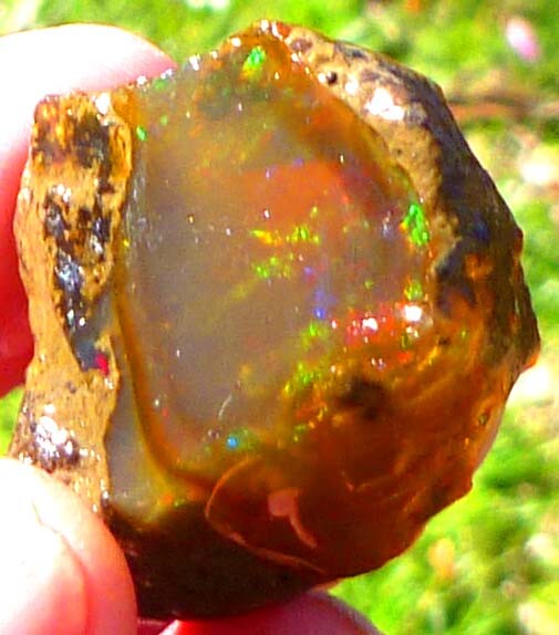 Chocolate Welo Ethiopia Precious Opal 289.4 carats Ethiopian