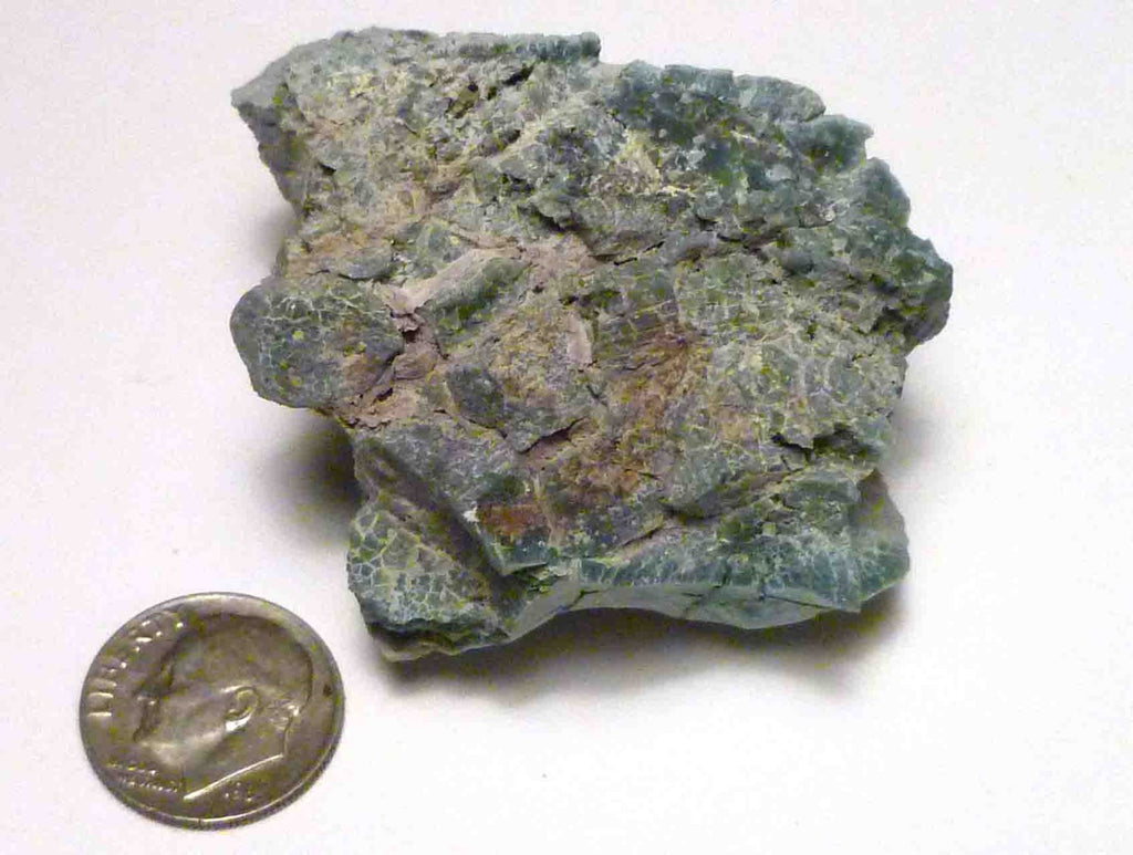 CHROMIUM! Extremely RARE Mint GREEN Petrified Wood Log ARIZONA 74.1