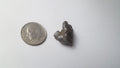 Iron Space Rock Meteor 4.5 BILLION YR METEORITE Nan Dan 3.25g