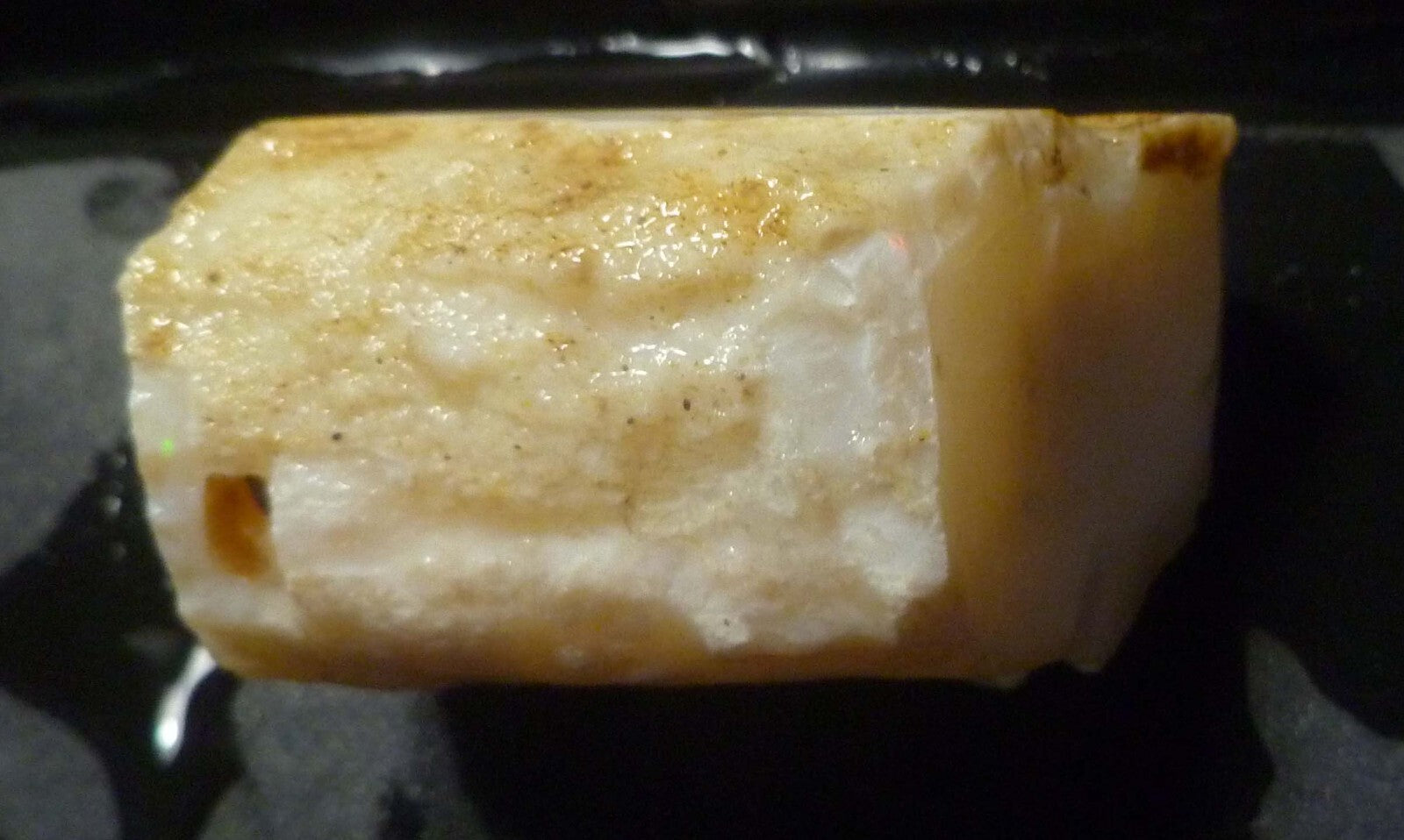 Awesome!  Virgin Valley WHITE Precious Opal Petrified Wood Log Nevada 271..2 cts