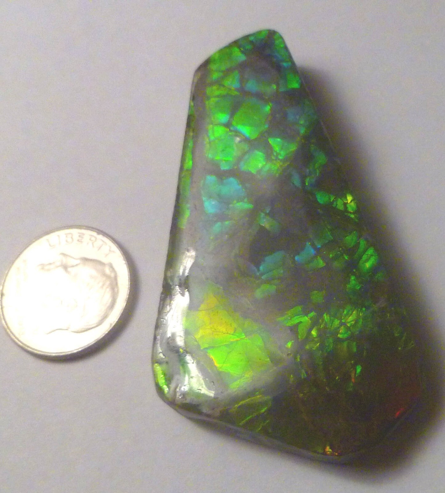 50x32mm Green AMMOLITE gemstone Cabochon Canada Ammonite