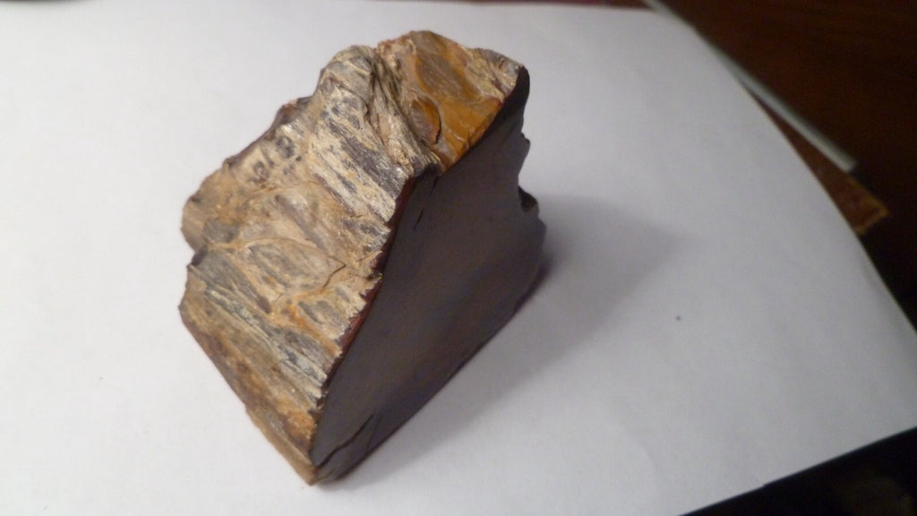 Agatized Petrified Wood Rough Cabbing 220g Polished Madagascar