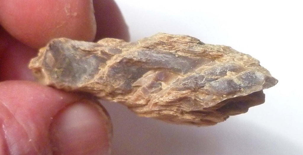 Lot 5 Nice Woodworthia Petrified Wood NE AZ 60 grams