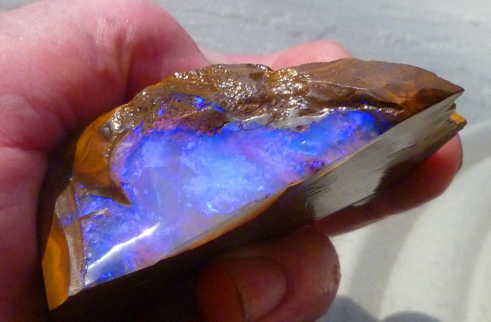 Boulder Opal FIRE & Blue Precious Rough Specimen Australian 700cts
