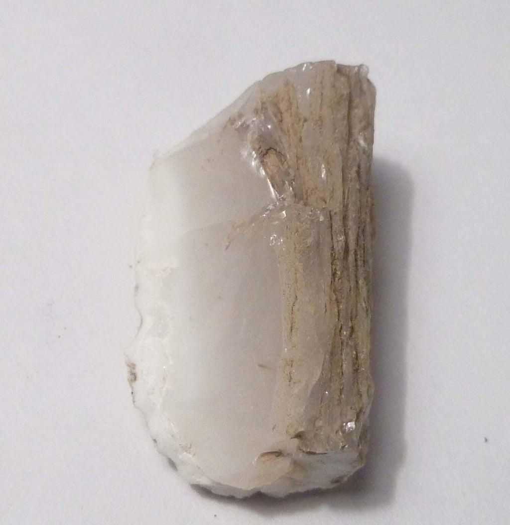 Awesome!  Virgin Valley WHITE Opal Petrified Wood Log Nevada 40 cts