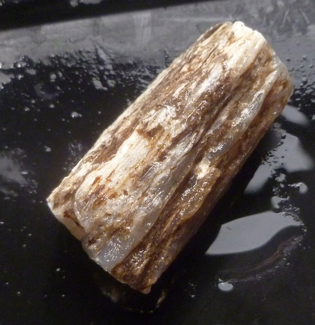 40cts Virgin Valley Opal Petrified Wood Log Specimen Nevada
