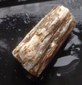 40cts Virgin Valley Opal Petrified Wood Log Specimen Nevada
