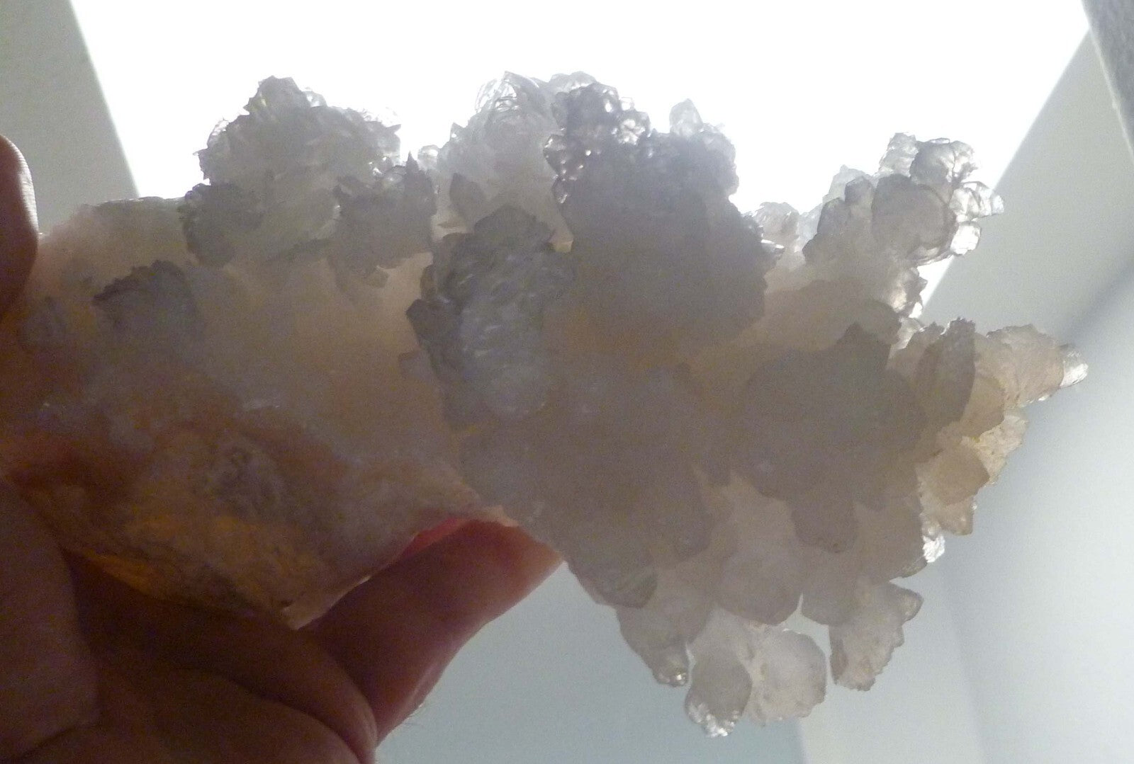 8" Big! CAVE Aragonite STALACTITE Crystal Cluster! 100% Natural 939gr