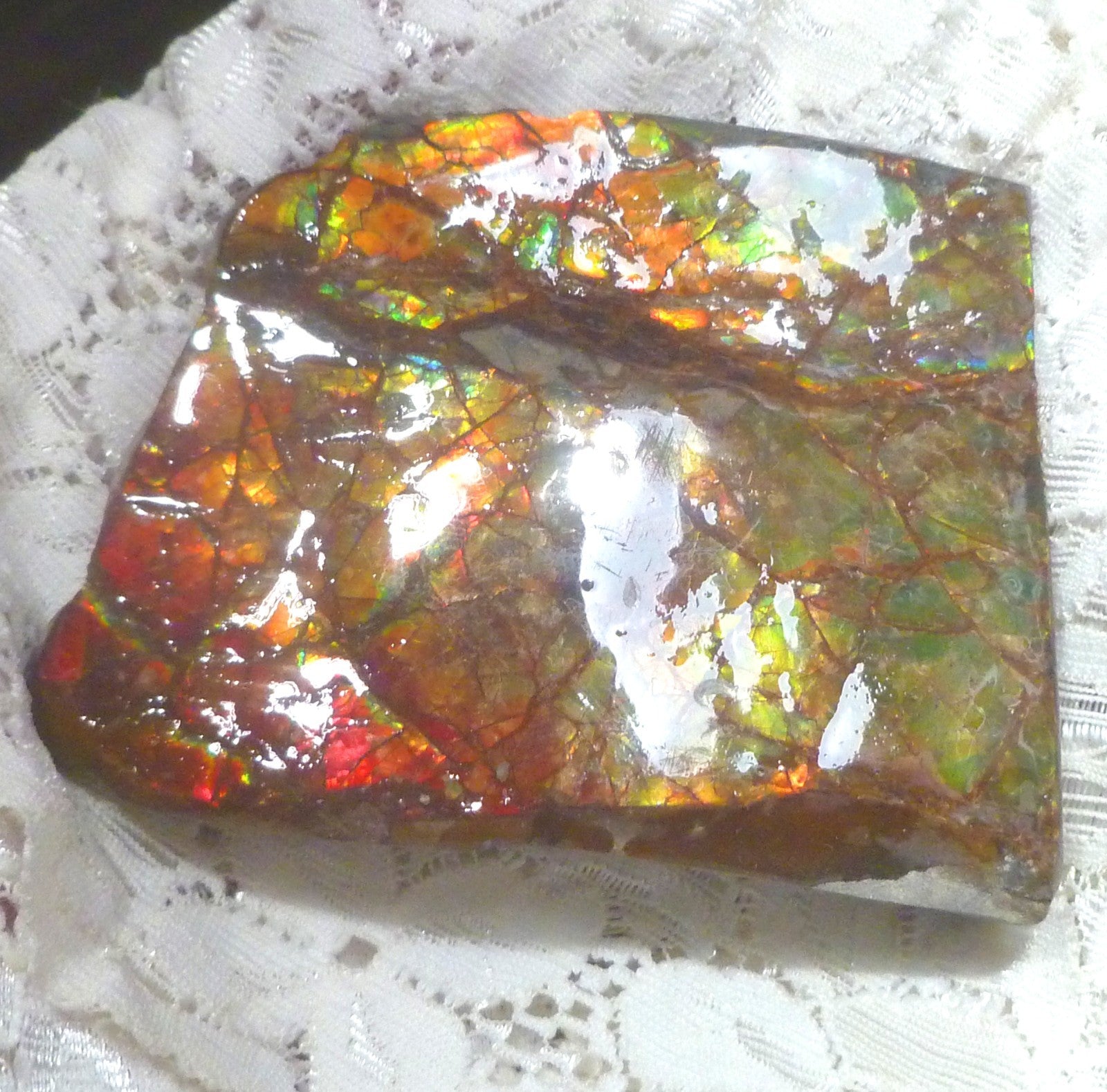 75x59x8mm AMMOLITE  Mulit Color gemstone Canada Ammonite