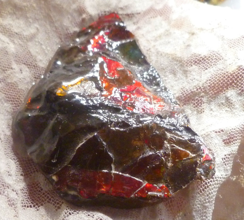 Red Ammolite 88x49x12mm AMMOLITE Ammonite Canada