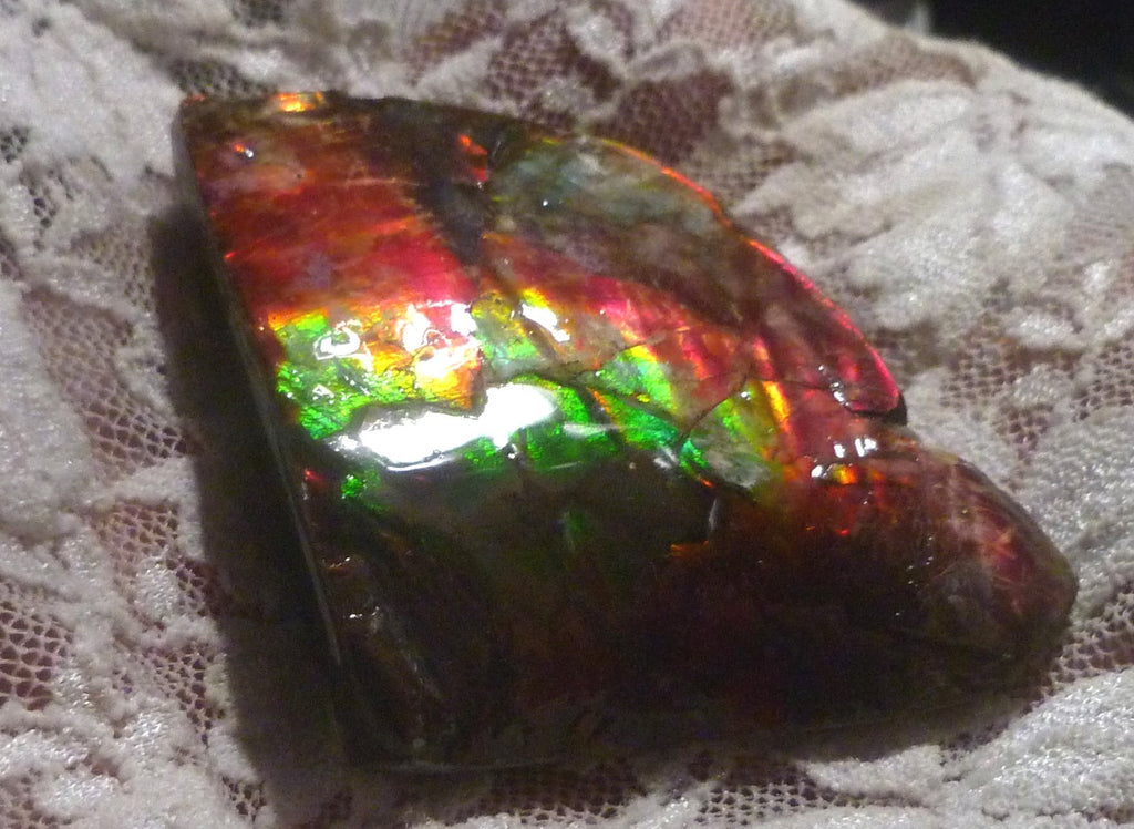 AMMOLITE Multi Colos Gemstone Amazing 51x39x17mm