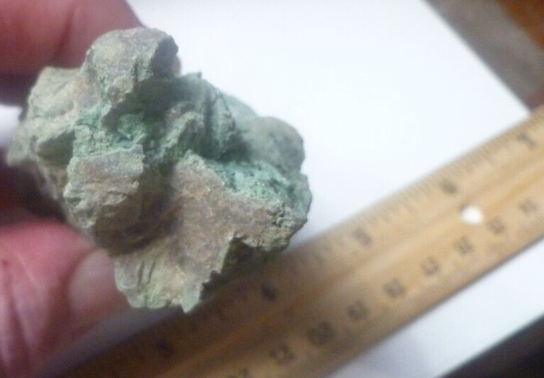 4.5" CHROMIUM! Museum Quality RARE GREEN Petrified Wood Log ARIZONA