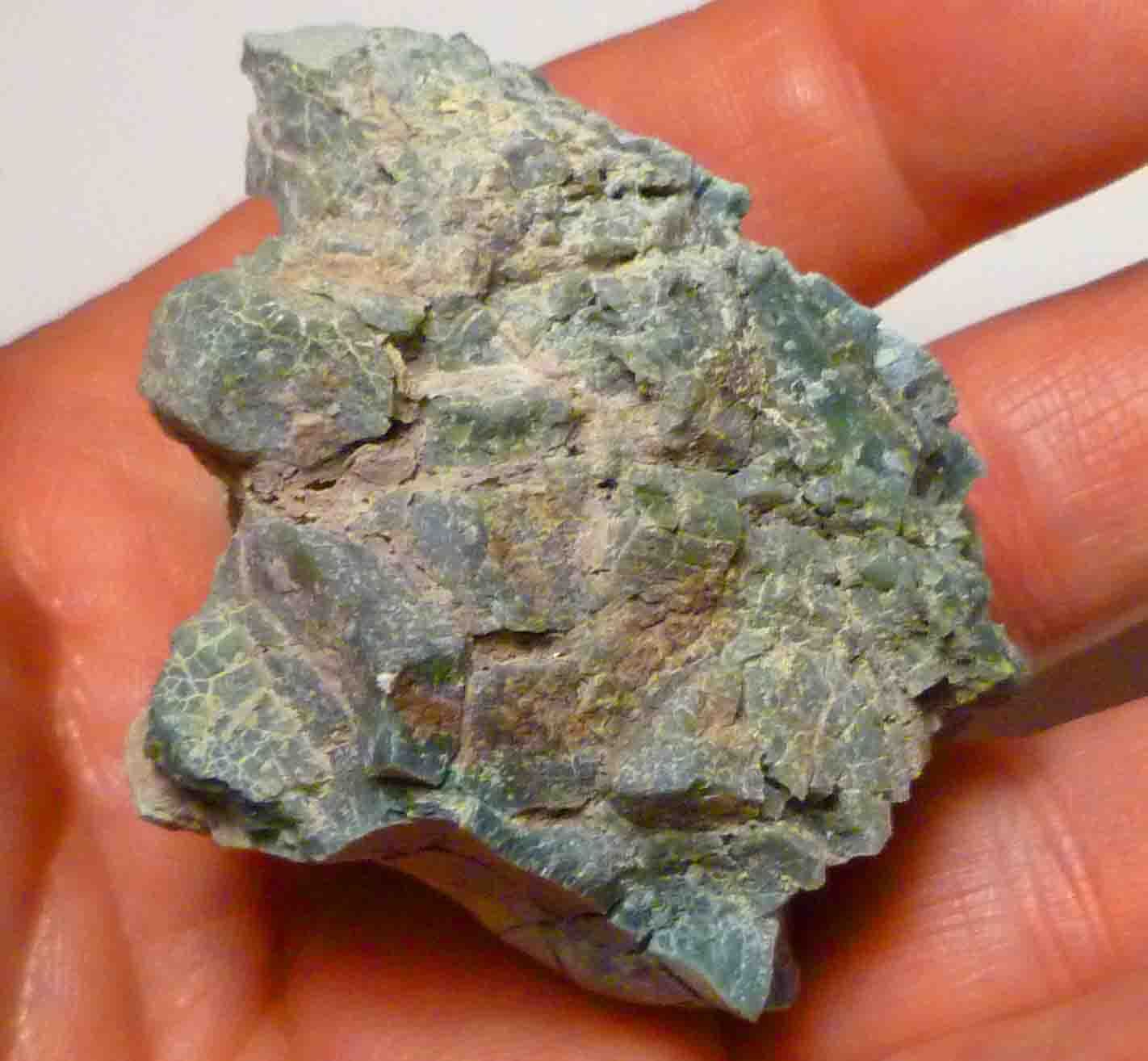 CHROMIUM! Extremely RARE Mint GREEN Petrified Wood Log ARIZONA 74.1