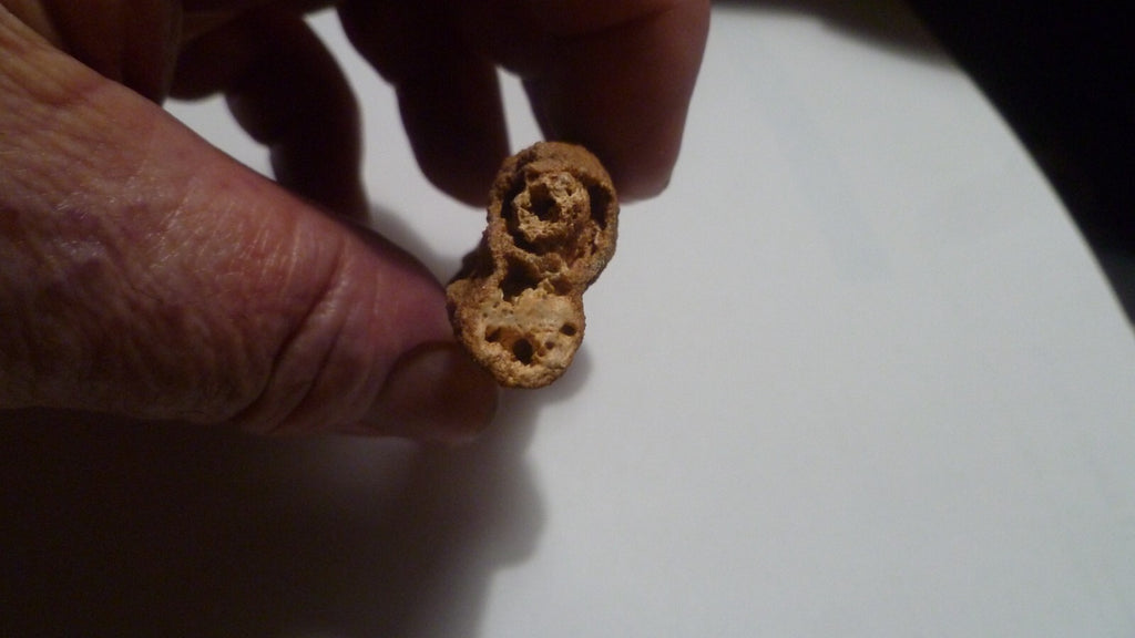 TOTALLY TUBULAR! 2 3/4" Natural Glass FULGURITE from LIGHTNING  70mm