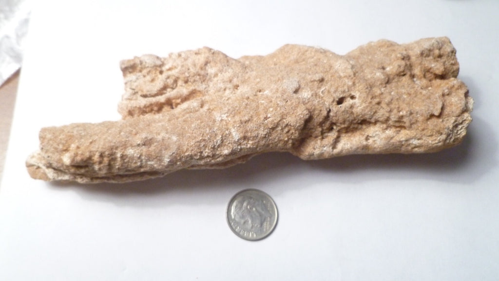 6" Fulgurite lightning fused sand Sahara Fossil Lightning
