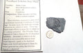24mm Fossil Trilobite UTAH USA Trilobites fossils INFO Card Included