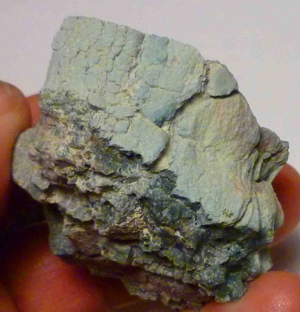 CHROMIUM! Extremely RARE Mint GREEN Petrified Wood Log ARIZONA 74.1