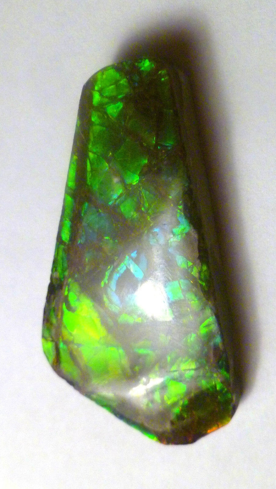 50x32mm Green AMMOLITE gemstone Cabochon Canada Ammonite