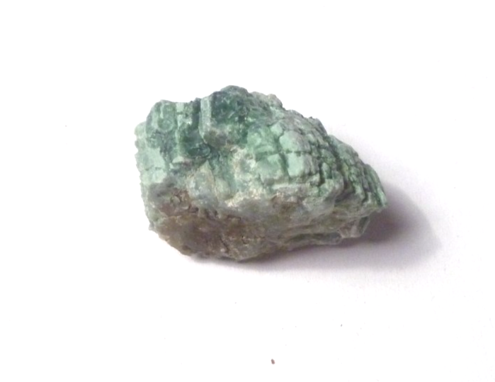 CHROMIUM! Mint GREEN Petrified Wood Log ARIZONA 35.6 cts 28mm