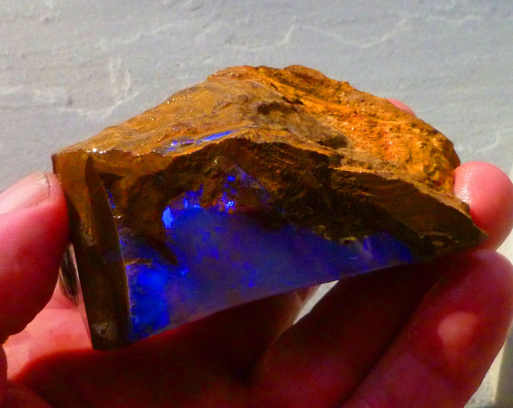 Boulder Opal FIRE & Blue Precious Rough Specimen Australian 700cts