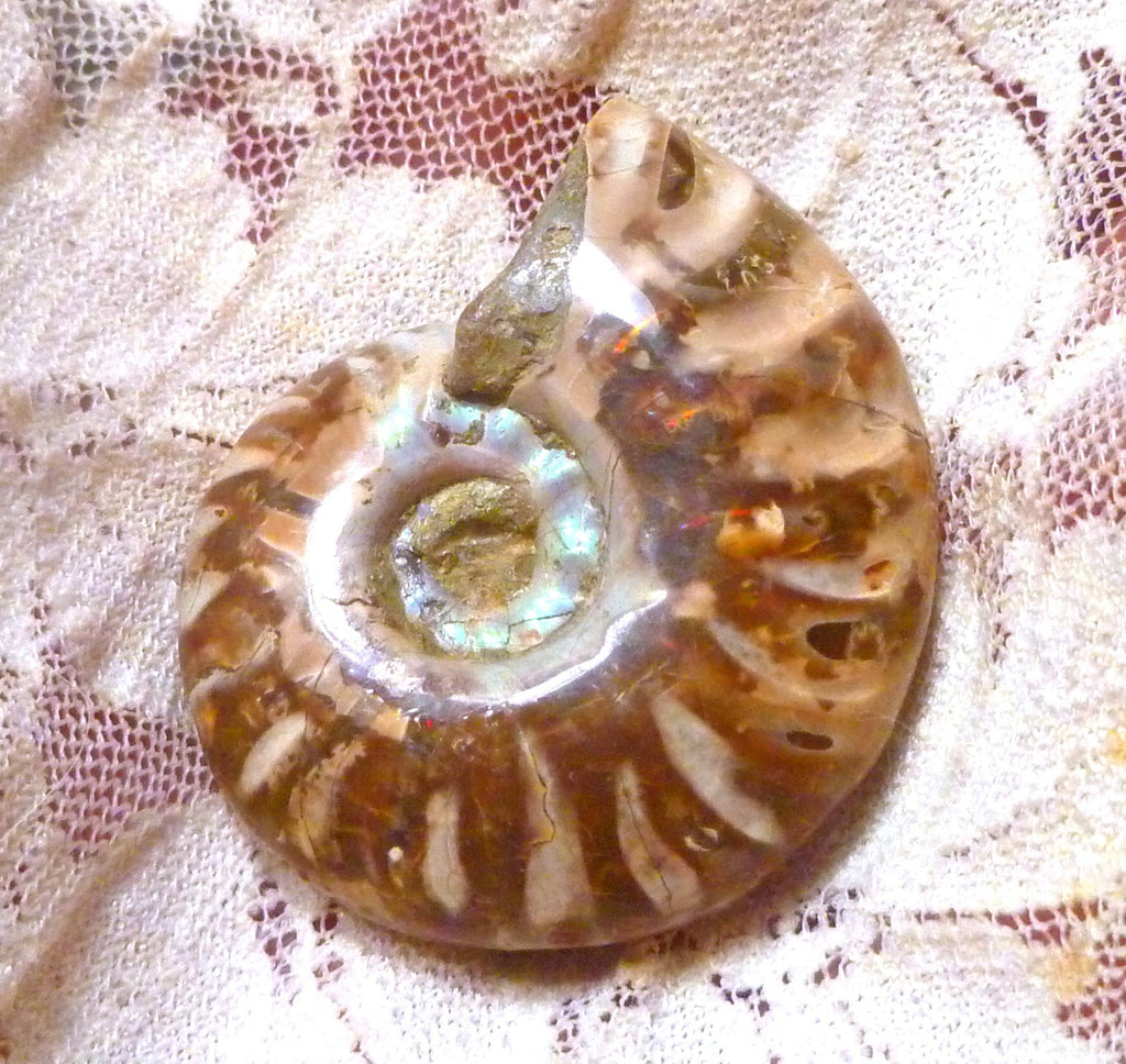 39mm Red Blue Center AMMONITE FOSSIL Opalized 100 million Years Madagascar